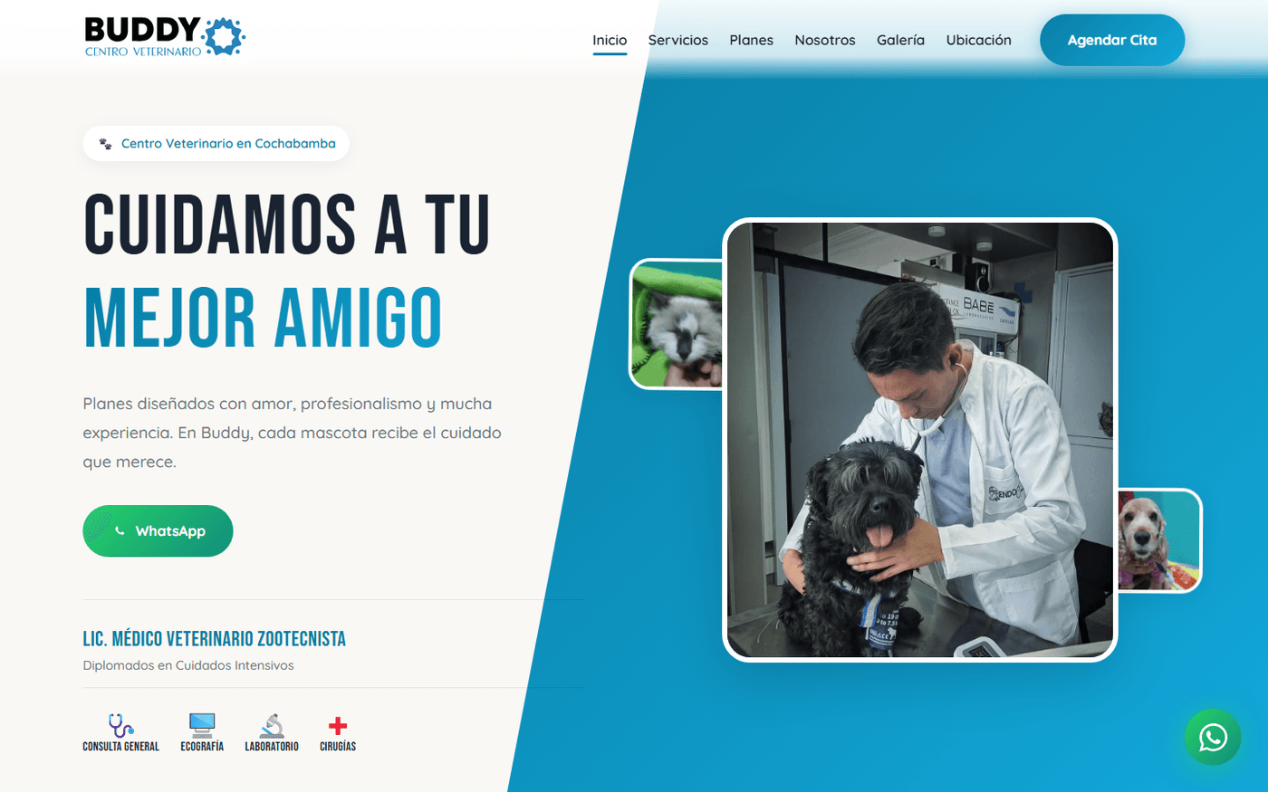 Veterinaria Buddy Portal Web Institucional